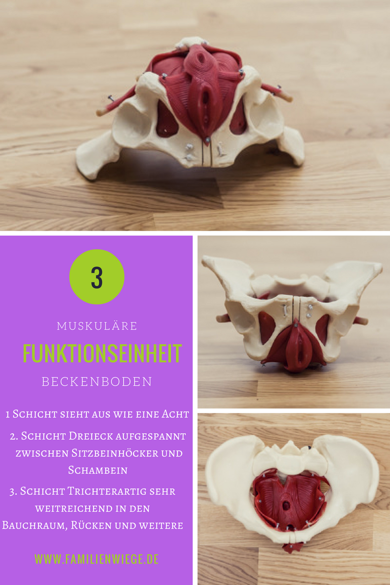 Beckenboden Wiegenworkout