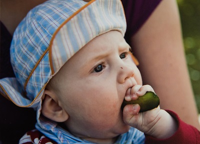 Baby Led weaning und Mangelernährung