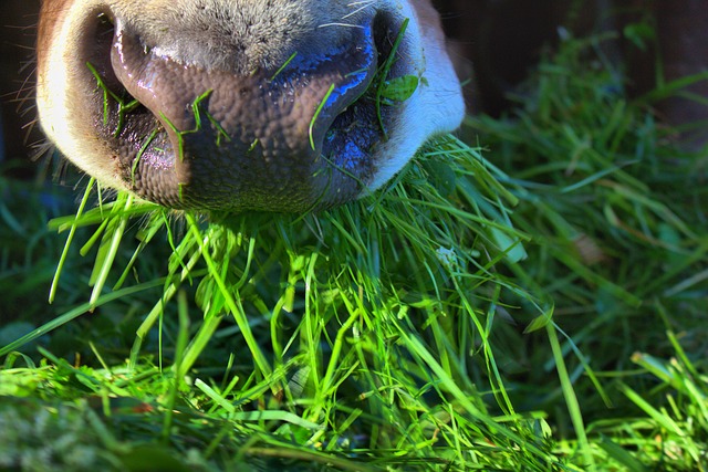 Beckenbodenbung Gras zupfen - Unsinn