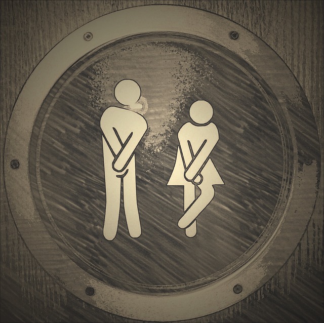 wc 1033443 640